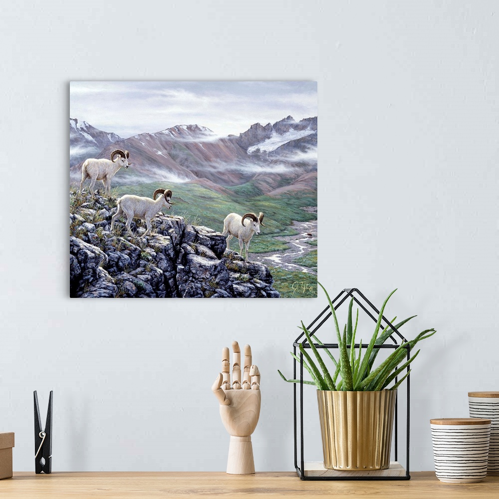 A bohemian room featuring big horn sheep, mountain rock
