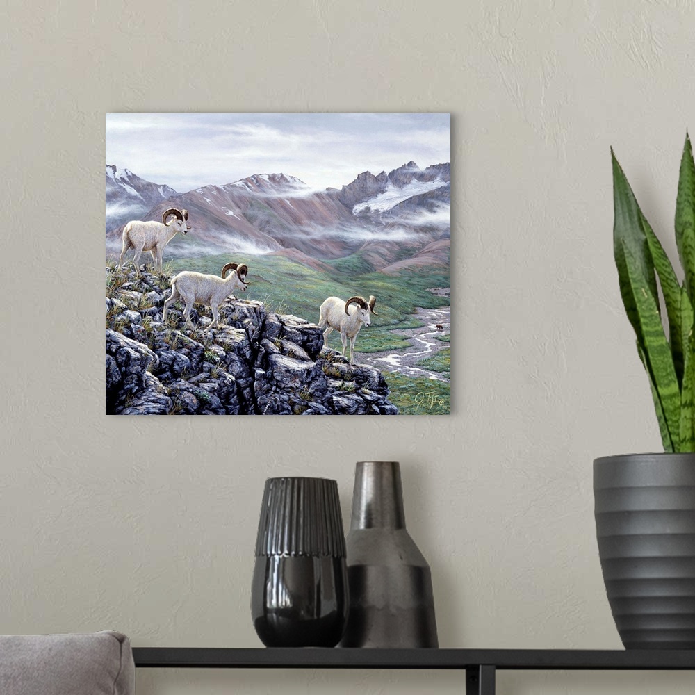 A modern room featuring big horn sheep, mountain rock