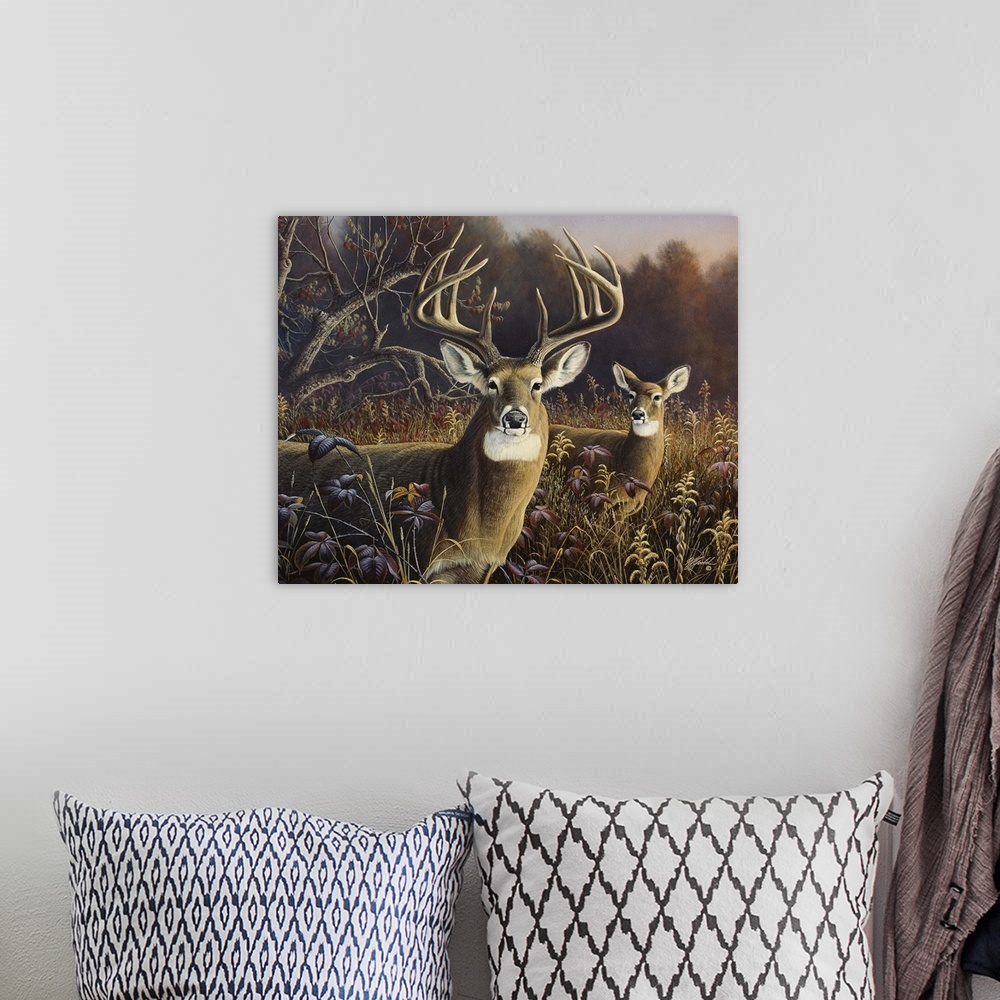 A bohemian room featuring Two deer stand in an autumn field.