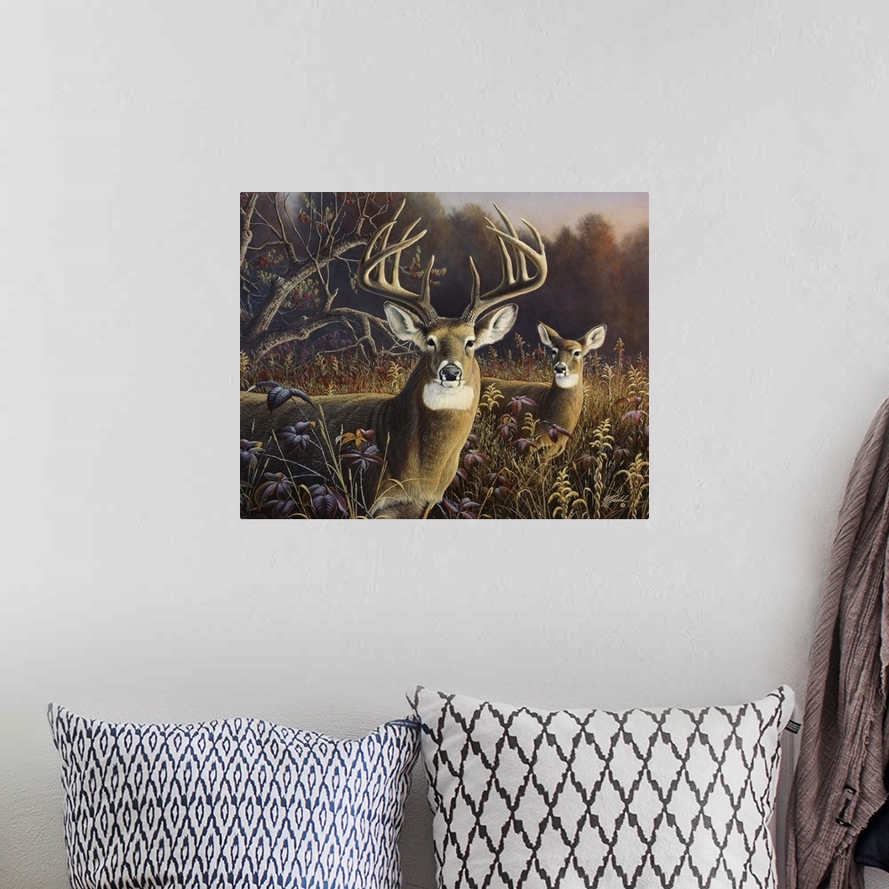 A bohemian room featuring Two deer stand in an autumn field.