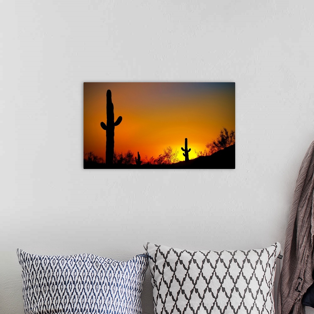 A bohemian room featuring Desert Sunset