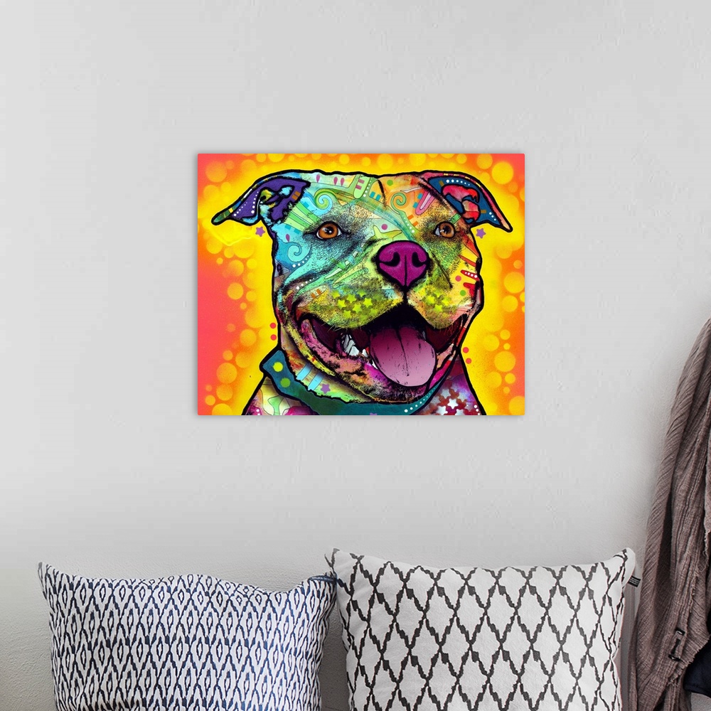 A bohemian room featuring Pit Bull, dog