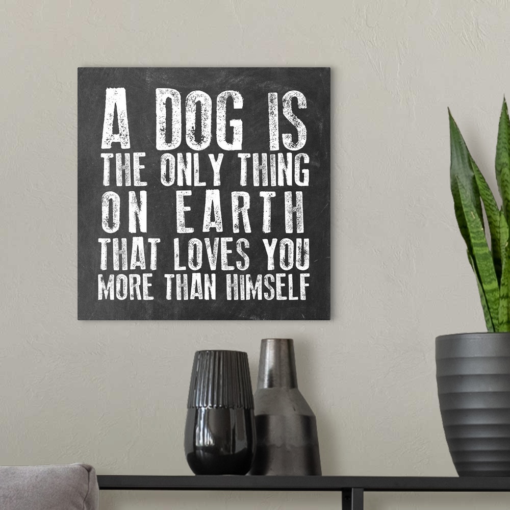 A modern room featuring Dog Love