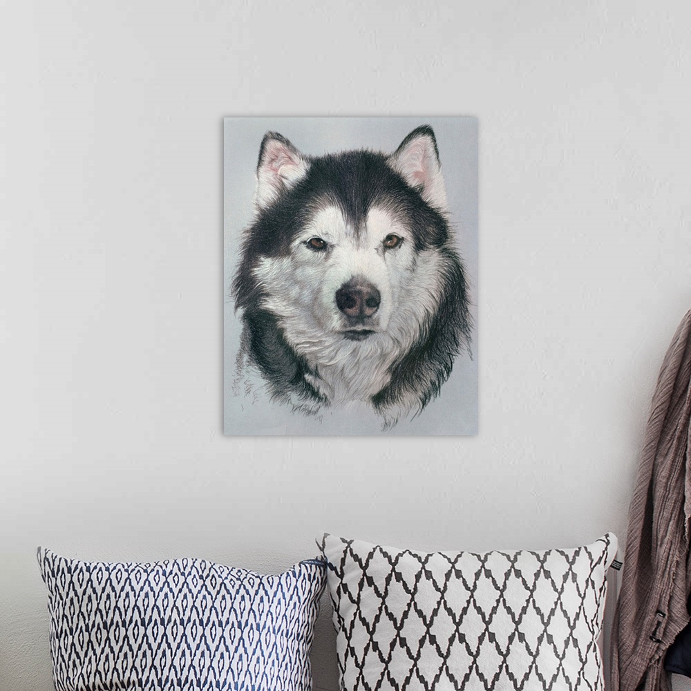 A bohemian room featuring Siberian Husky Dog