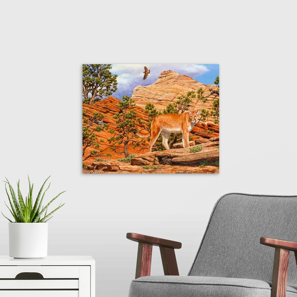 A modern room featuring Hawk, coyote hiding and lion on rocks, dessert