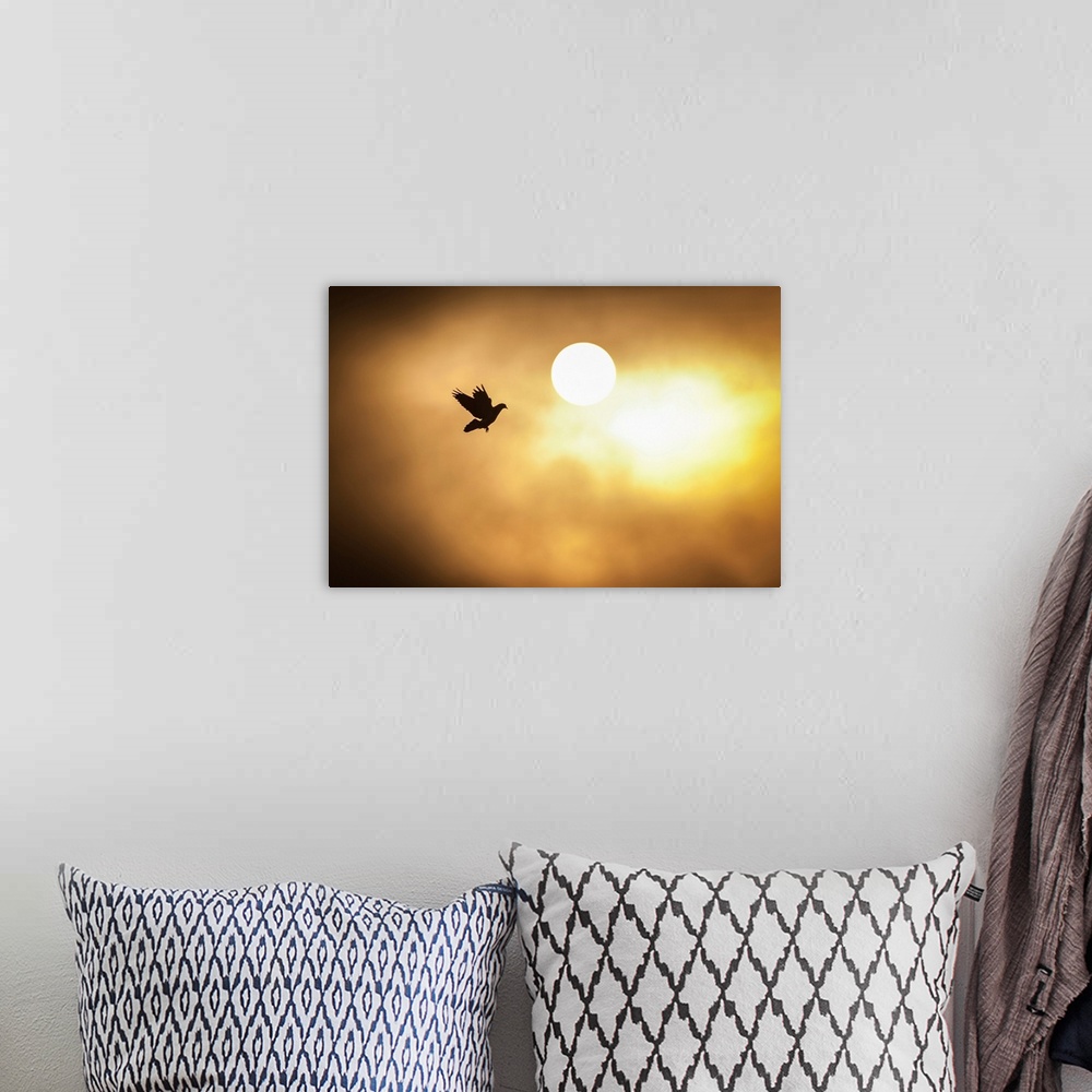 A bohemian room featuring Warm silhouette photograph of a bird mid-flight with the sun in the background.