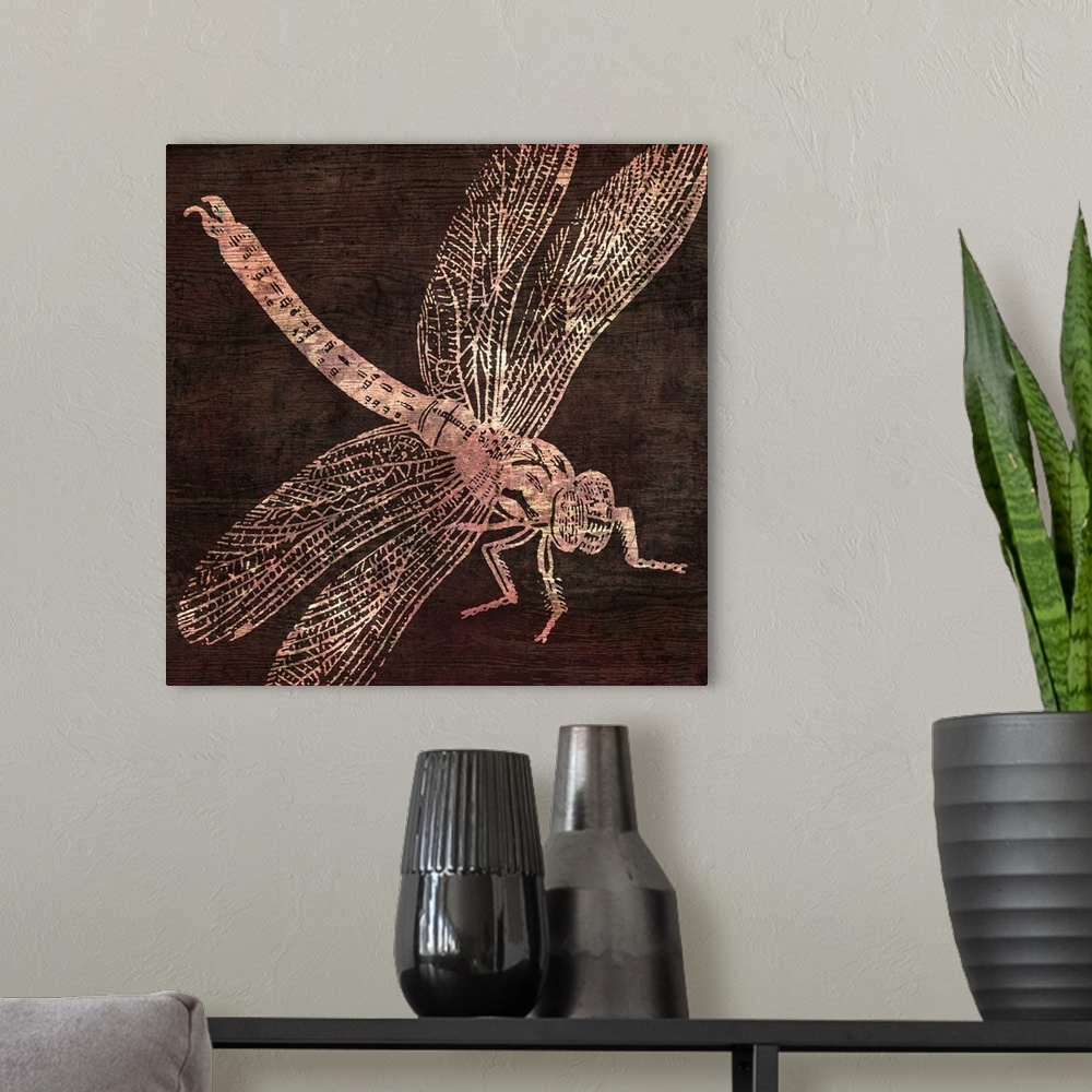 A modern room featuring etching of dragonfly