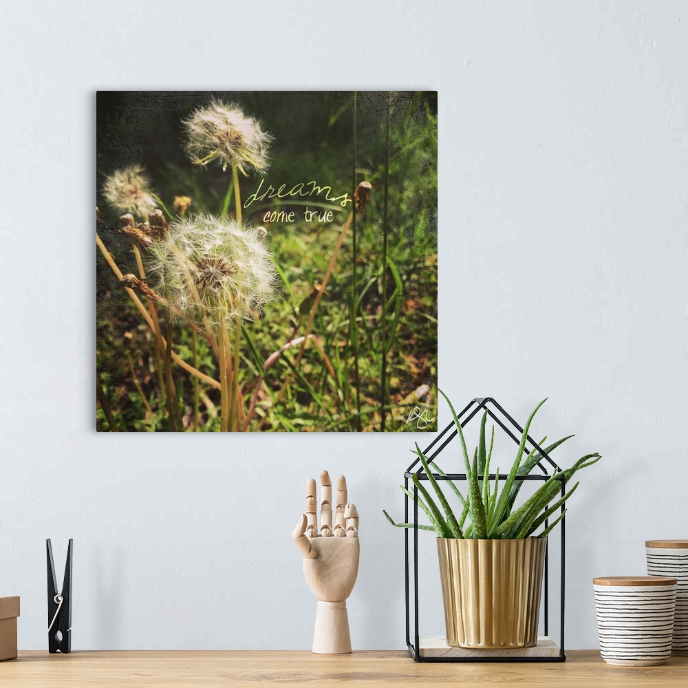A bohemian room featuring Motivational sentiment against photograph of a close-up of dandelions.