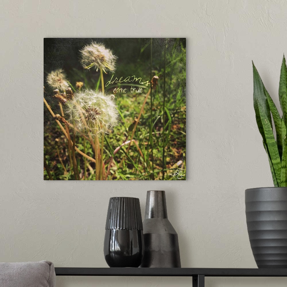 A modern room featuring Motivational sentiment against photograph of a close-up of dandelions.