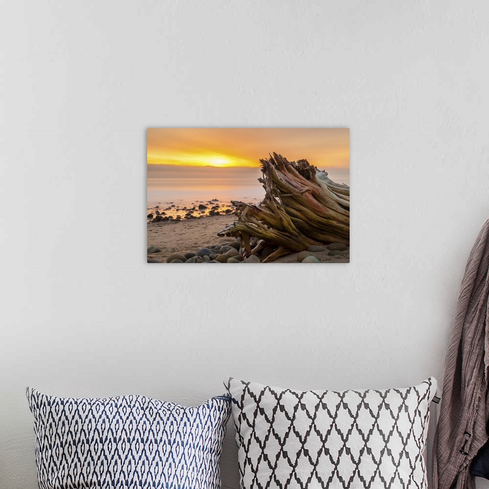 A bohemian room featuring Photograph of a large piece of drift washed up on a beach overlooking the ocean at sunset.