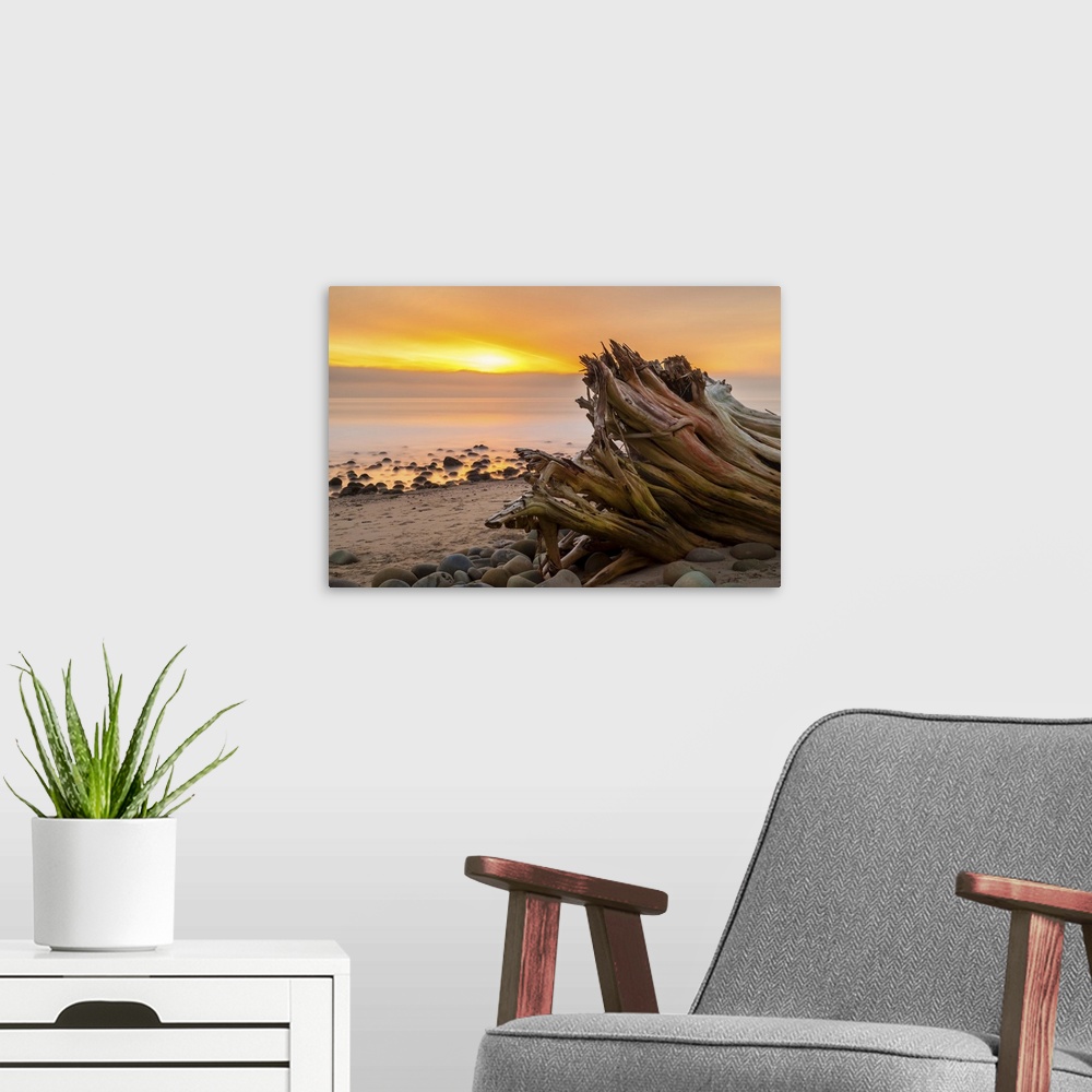 A modern room featuring Photograph of a large piece of drift washed up on a beach overlooking the ocean at sunset.