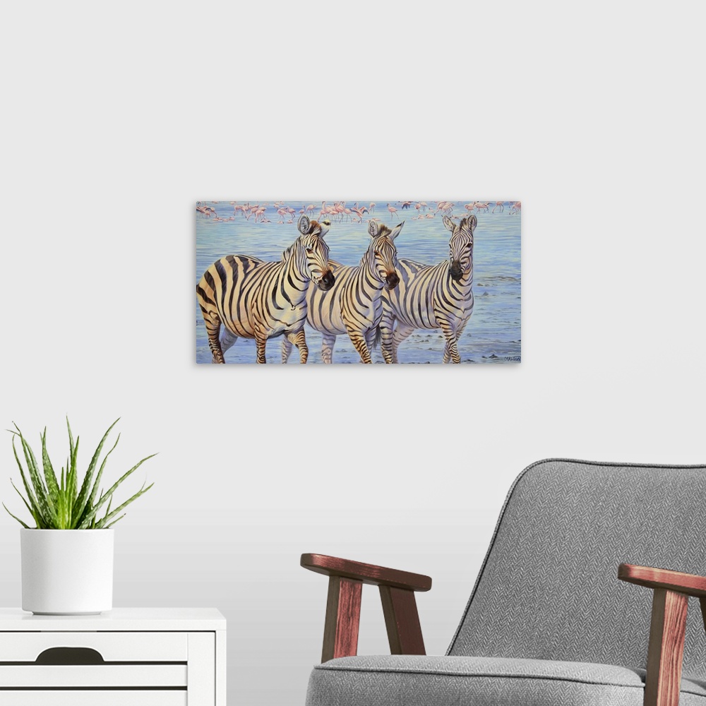 A modern room featuring Three zebras walking through water with a flock of flamingos in the background