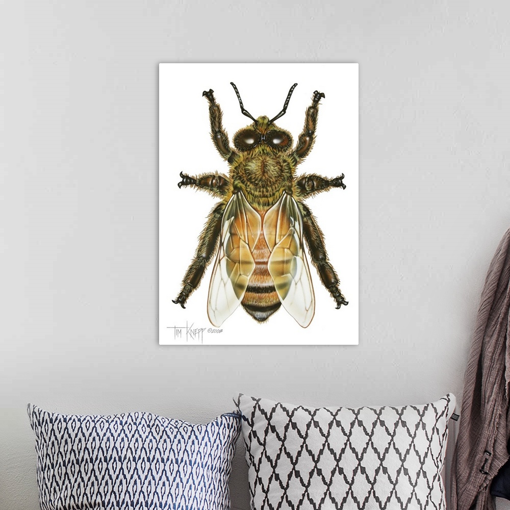 A bohemian room featuring Drone Honey Bee