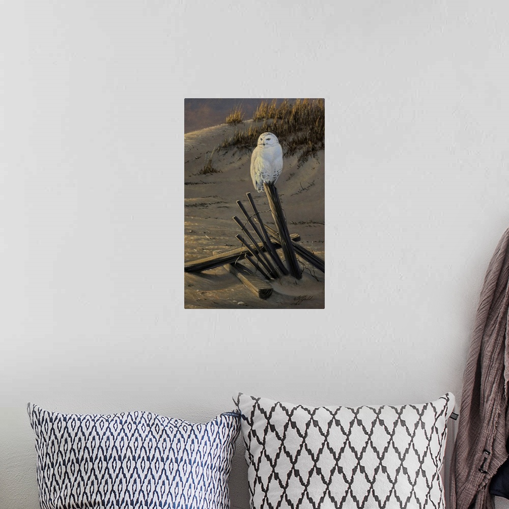 A bohemian room featuring Dune Watcher - Snowy Owl