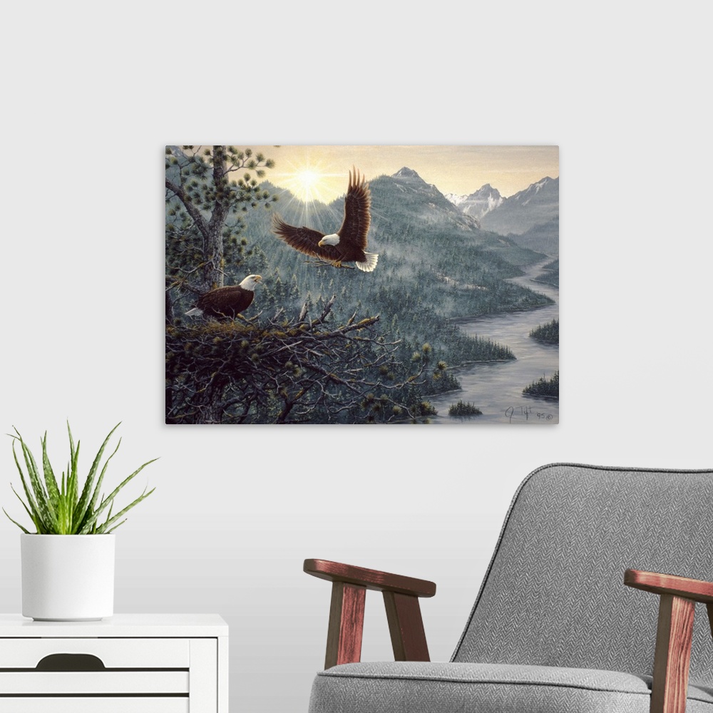 A modern room featuring eagles, one in the tree, one coming in for a landing, over looking a mtn brook