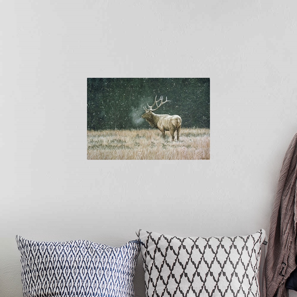 A bohemian room featuring Mist rises from an Elk's mouth as it stands in a grassy field, snow falling from the sky.