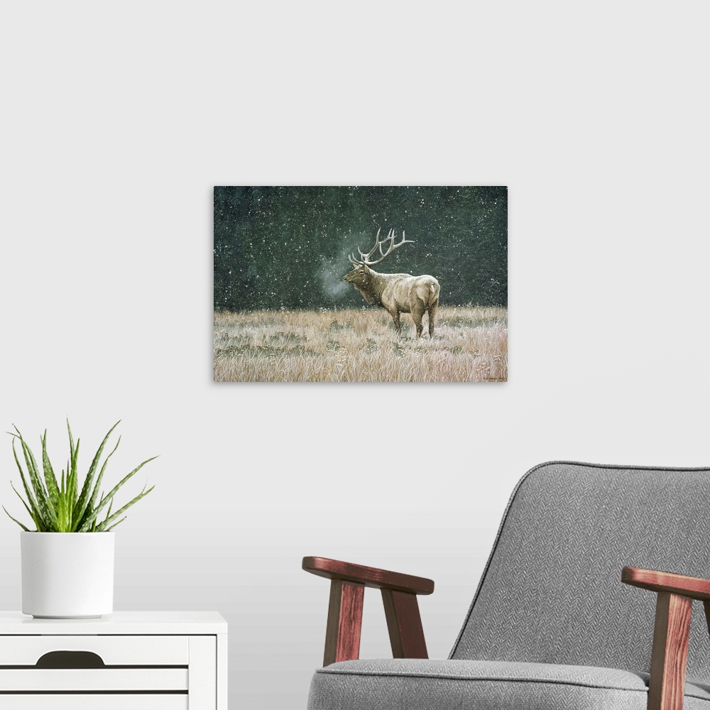 A modern room featuring Mist rises from an Elk's mouth as it stands in a grassy field, snow falling from the sky.