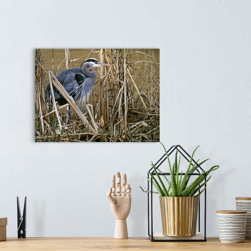 A bohemian room featuring A blue heron stands in a group of tall grass and reeds at the edge of a swamp.