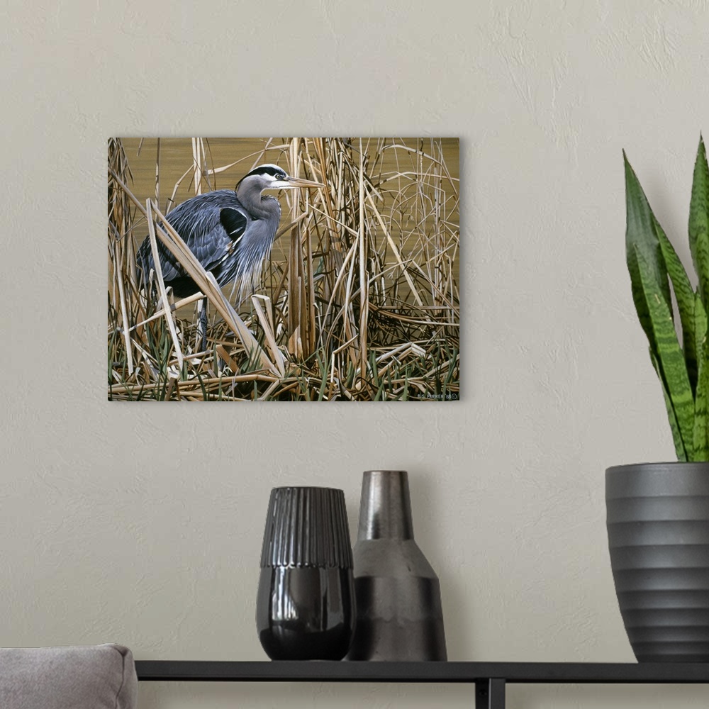 A modern room featuring A blue heron stands in a group of tall grass and reeds at the edge of a swamp.