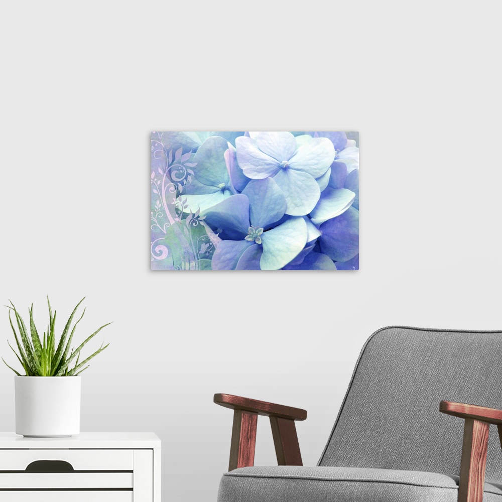 A modern room featuring Hydrangea with color treatmentflowers