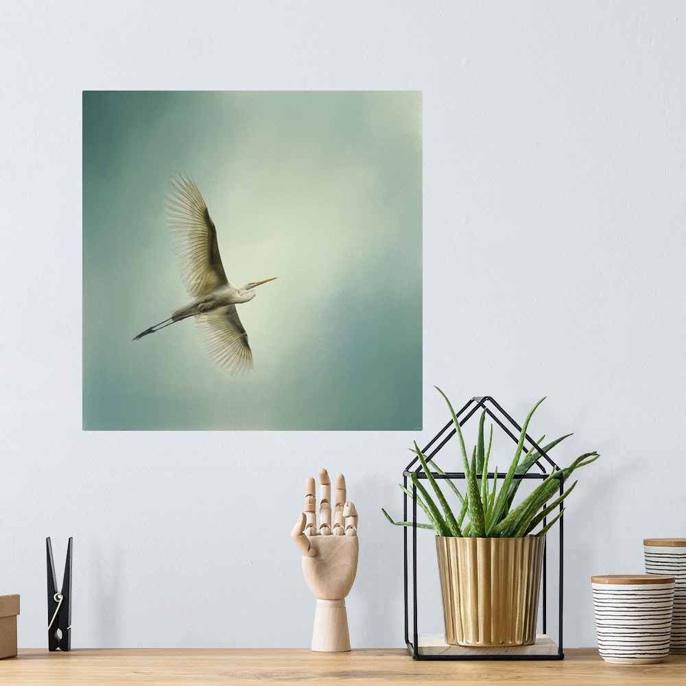 A bohemian room featuring A white egret with a large wingspan soars through the sky.