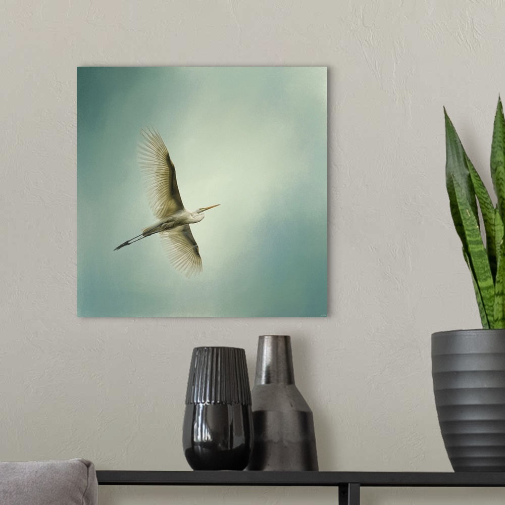 A modern room featuring A white egret with a large wingspan soars through the sky.