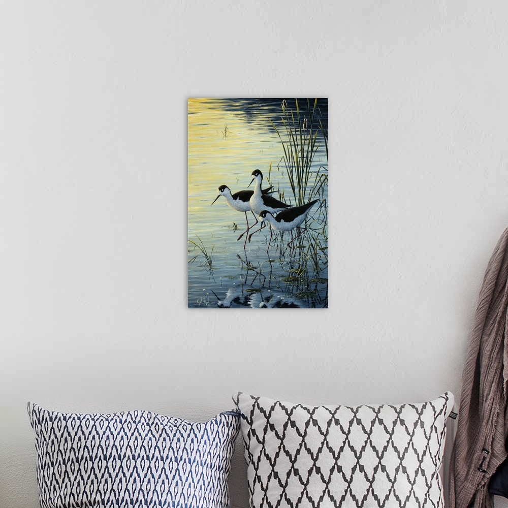 A bohemian room featuring 3 birds standing on a marsh