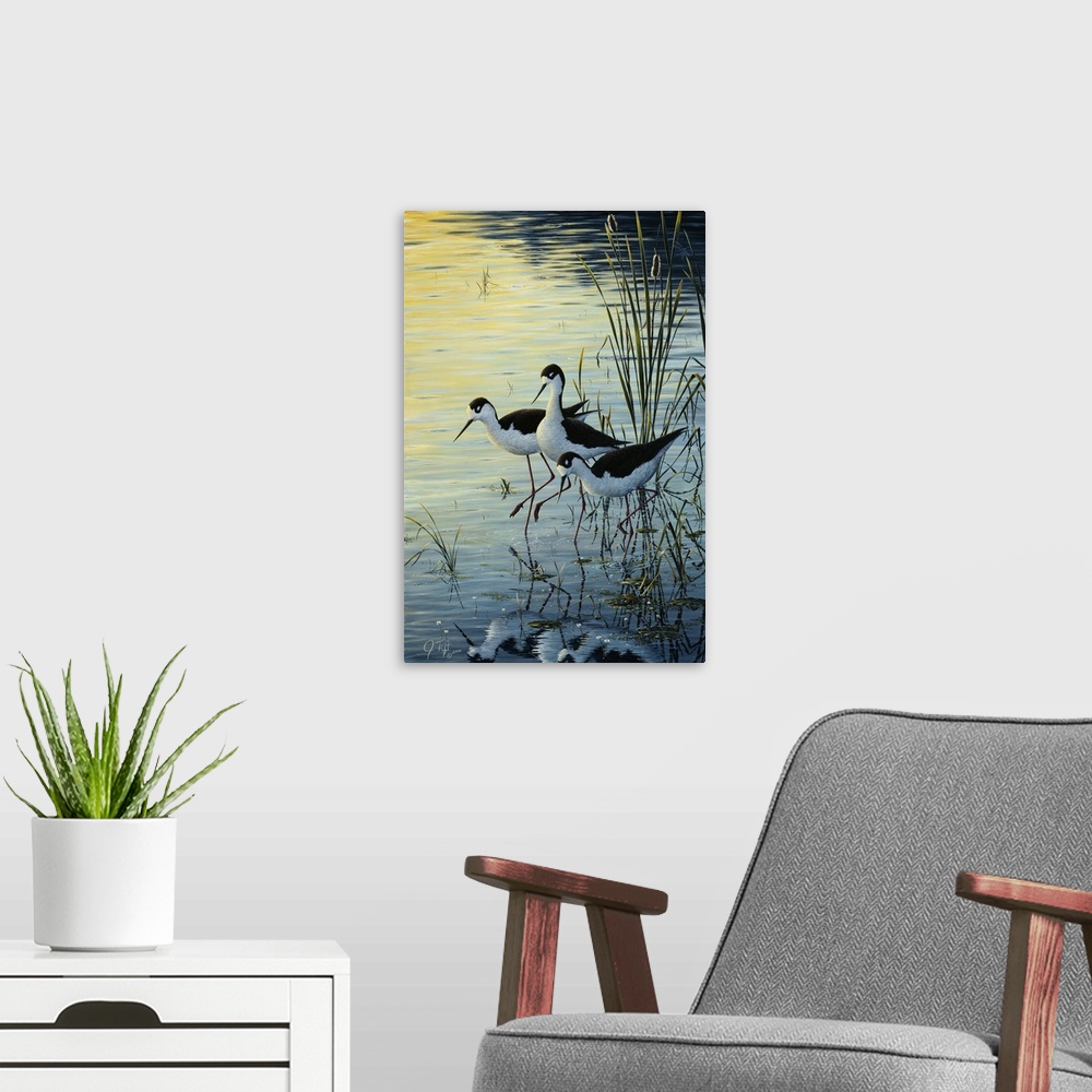 A modern room featuring 3 birds standing on a marsh