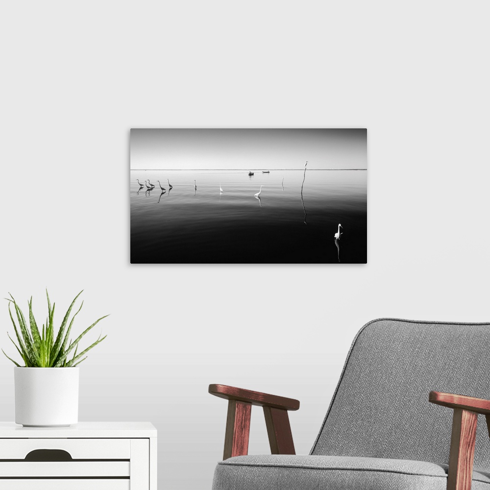A modern room featuring water, heron, black and white photography