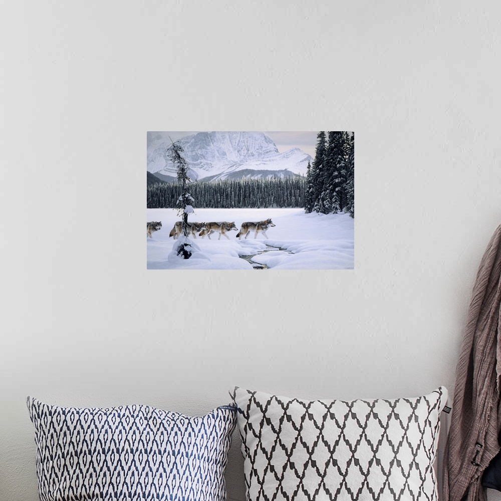 A bohemian room featuring Wolves crossing the lake with a small stream running through the snow.