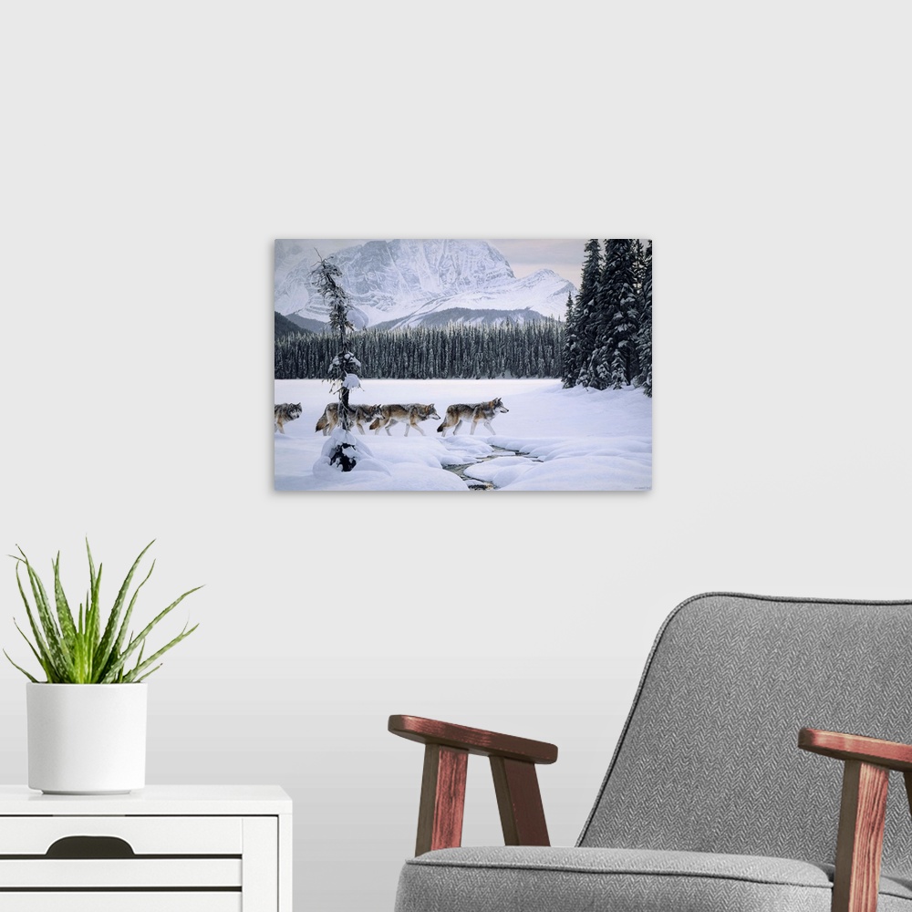 A modern room featuring Wolves crossing the lake with a small stream running through the snow.