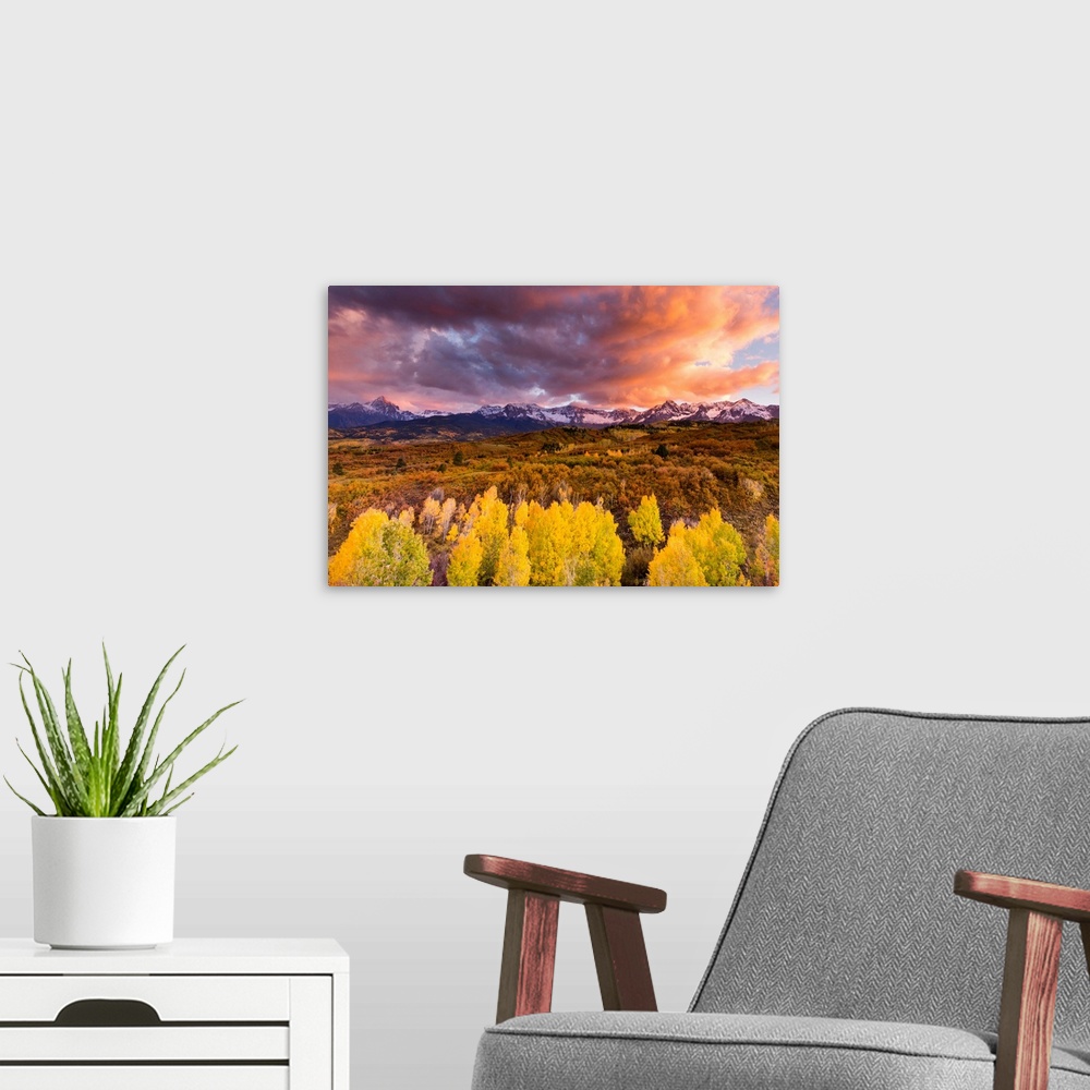 A modern room featuring trees, mountains, clouds, color photograph
