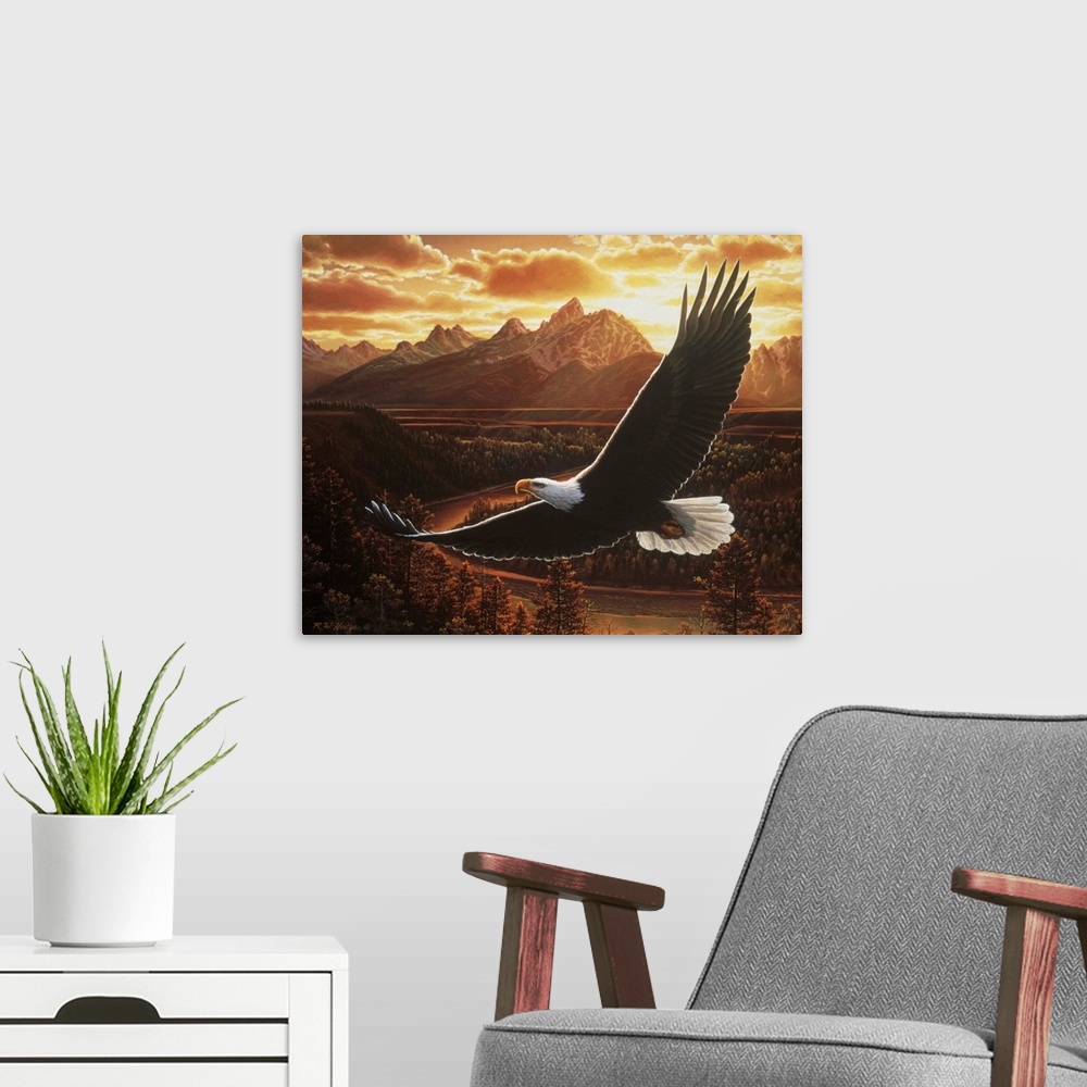 A modern room featuring A bald eagle flies by a mountain range at sunset.