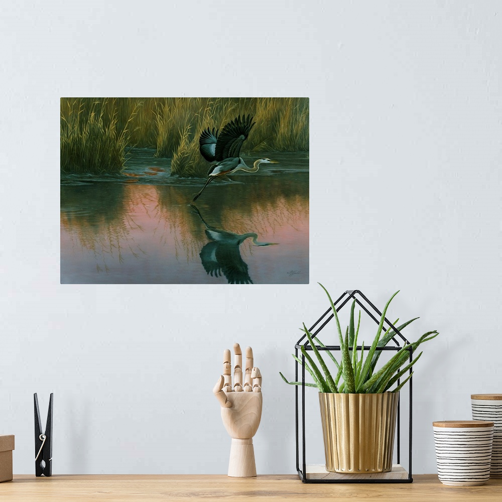A bohemian room featuring A great blue heron takes off from a swamp at dusk.