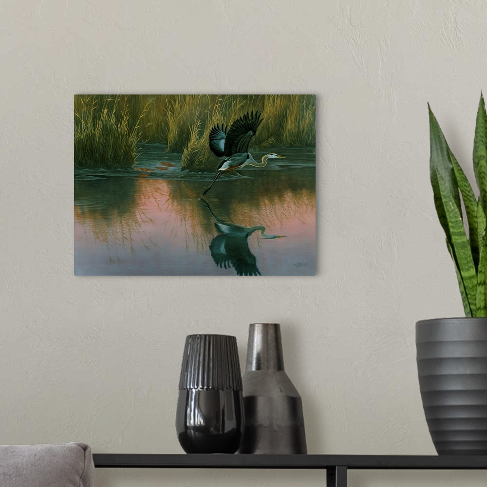 A modern room featuring A great blue heron takes off from a swamp at dusk.