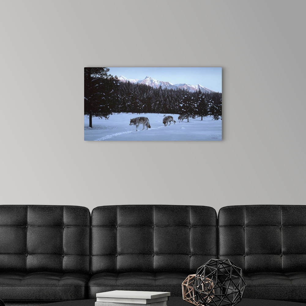 A modern room featuring A group of wolves makes their way across the snowy landscape in the evening light.