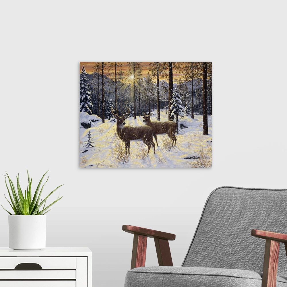 A modern room featuring a deer buck and a doe standing in the woods looking back