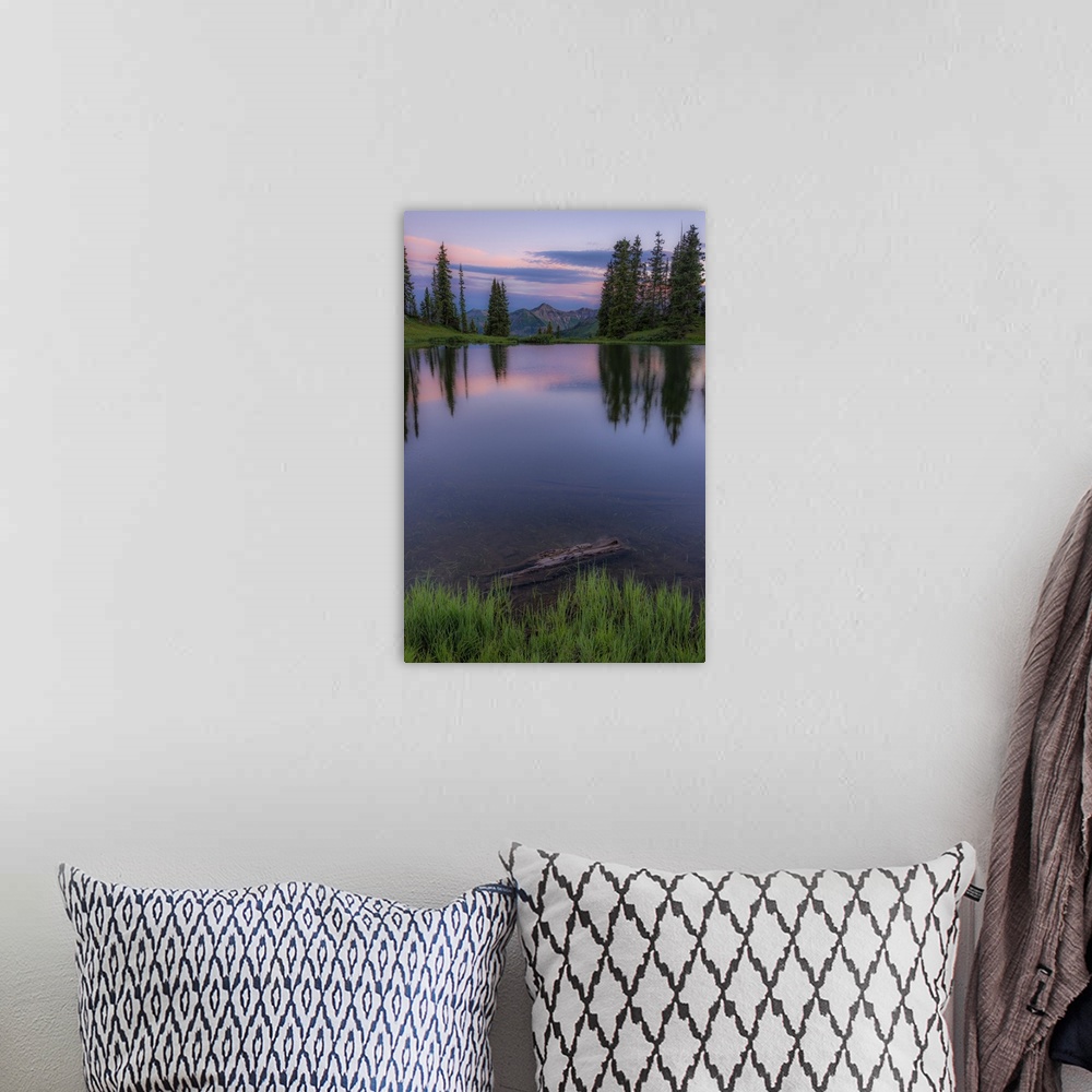 A bohemian room featuring A photograph of a grove of trees seen reflected in the lake below with a mountain peak in the dis...