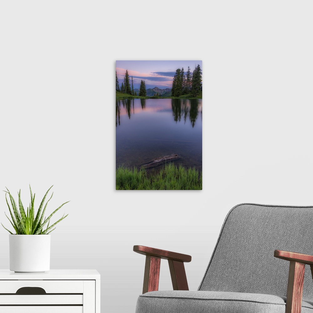A modern room featuring A photograph of a grove of trees seen reflected in the lake below with a mountain peak in the dis...