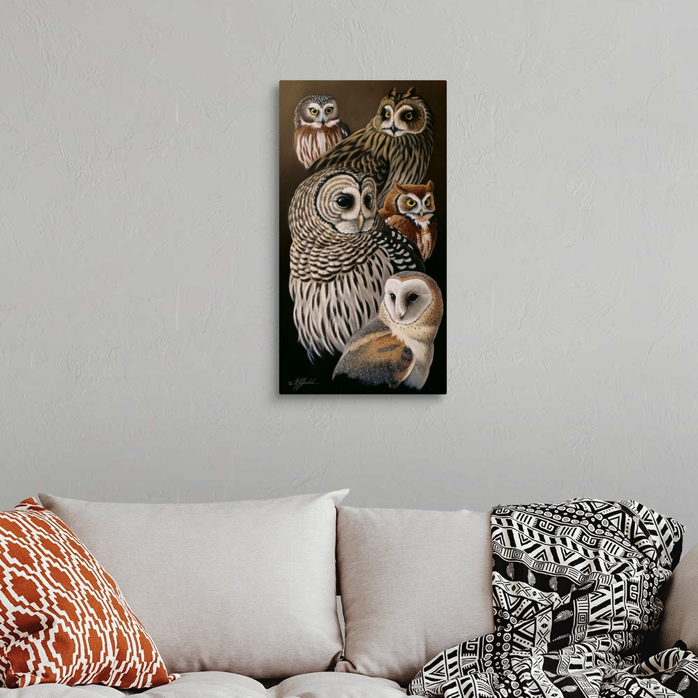 A bohemian room featuring A collection of various species of owls.
