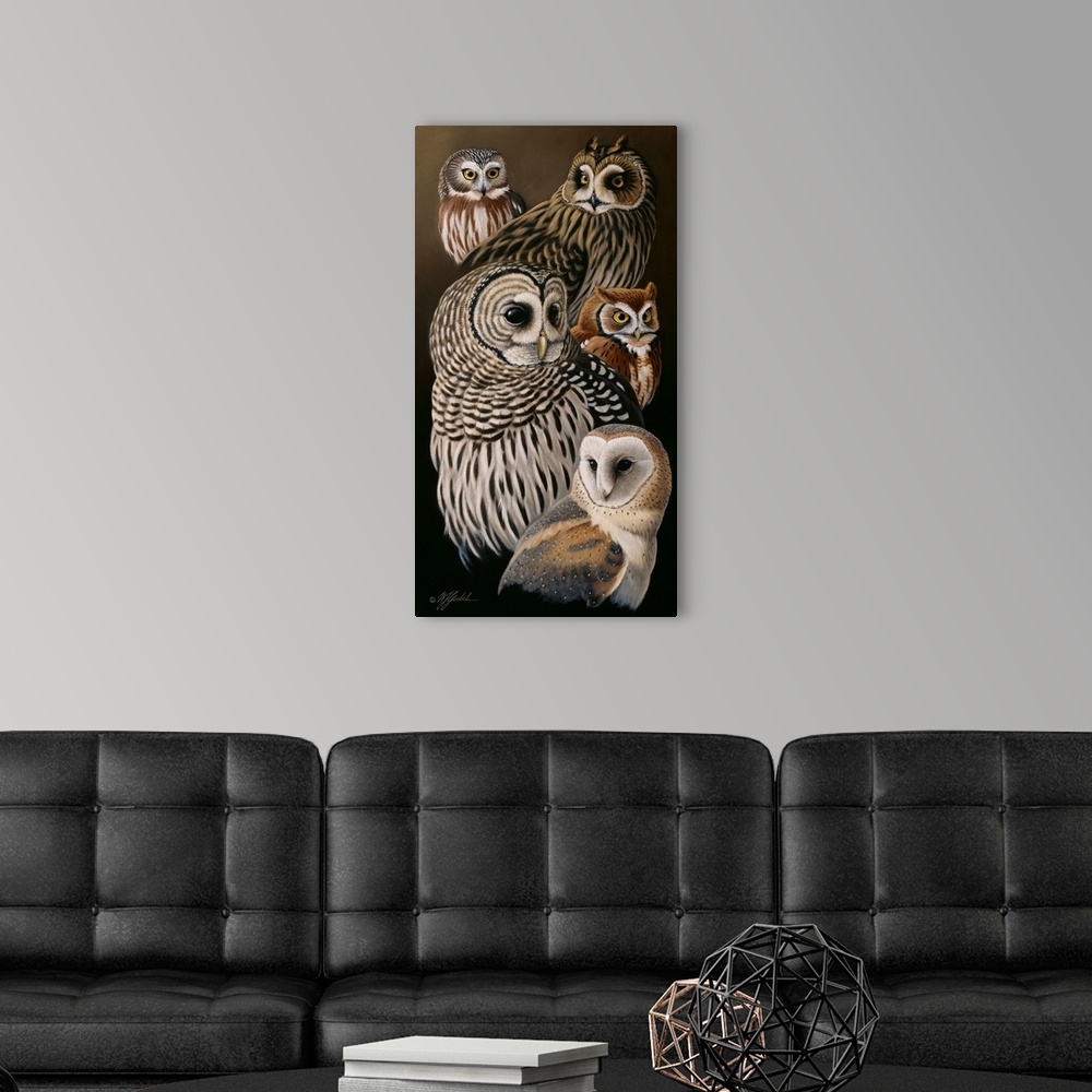 A modern room featuring A collection of various species of owls.