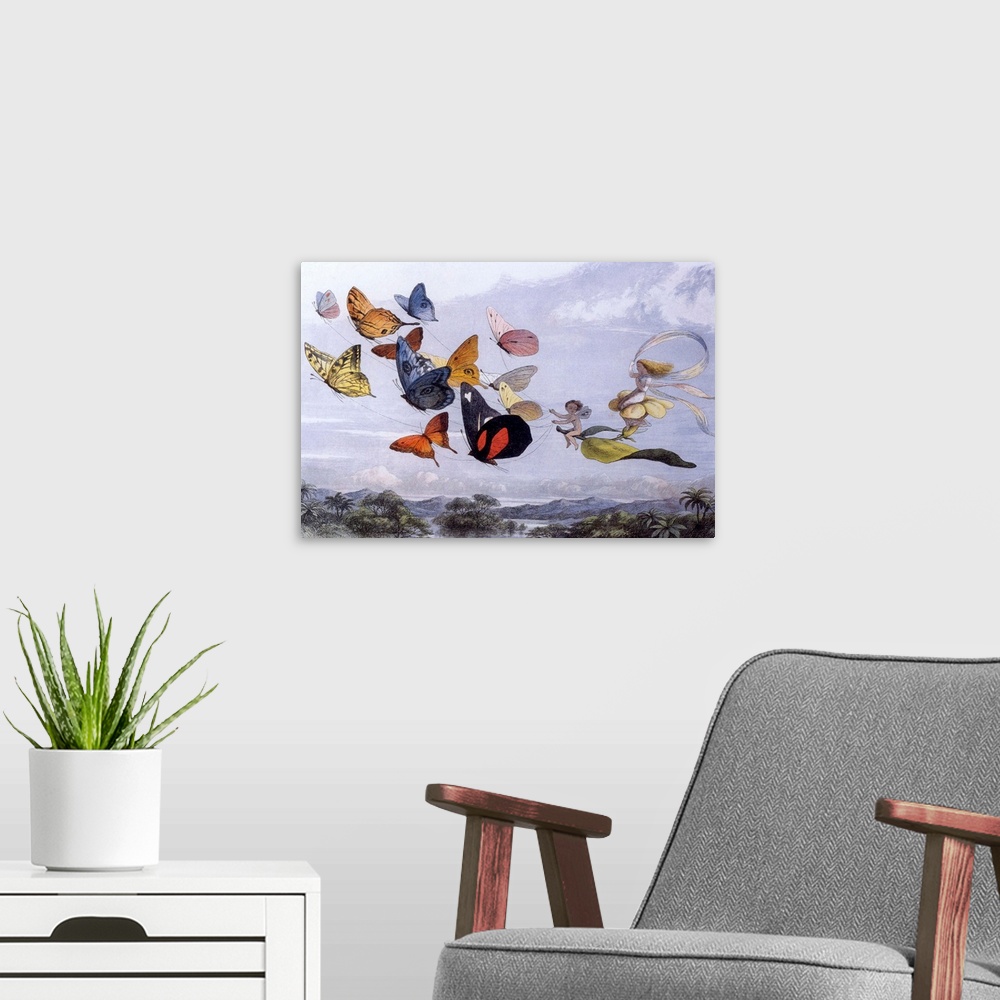 A modern room featuring A vintage illustration of a fairies flying with colorful butterflies.