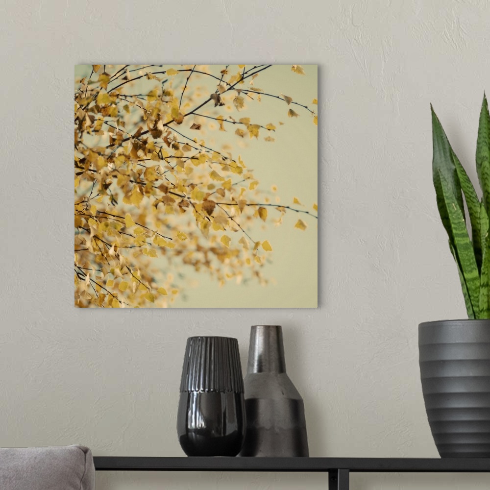 A modern room featuring Fall Leaves 010