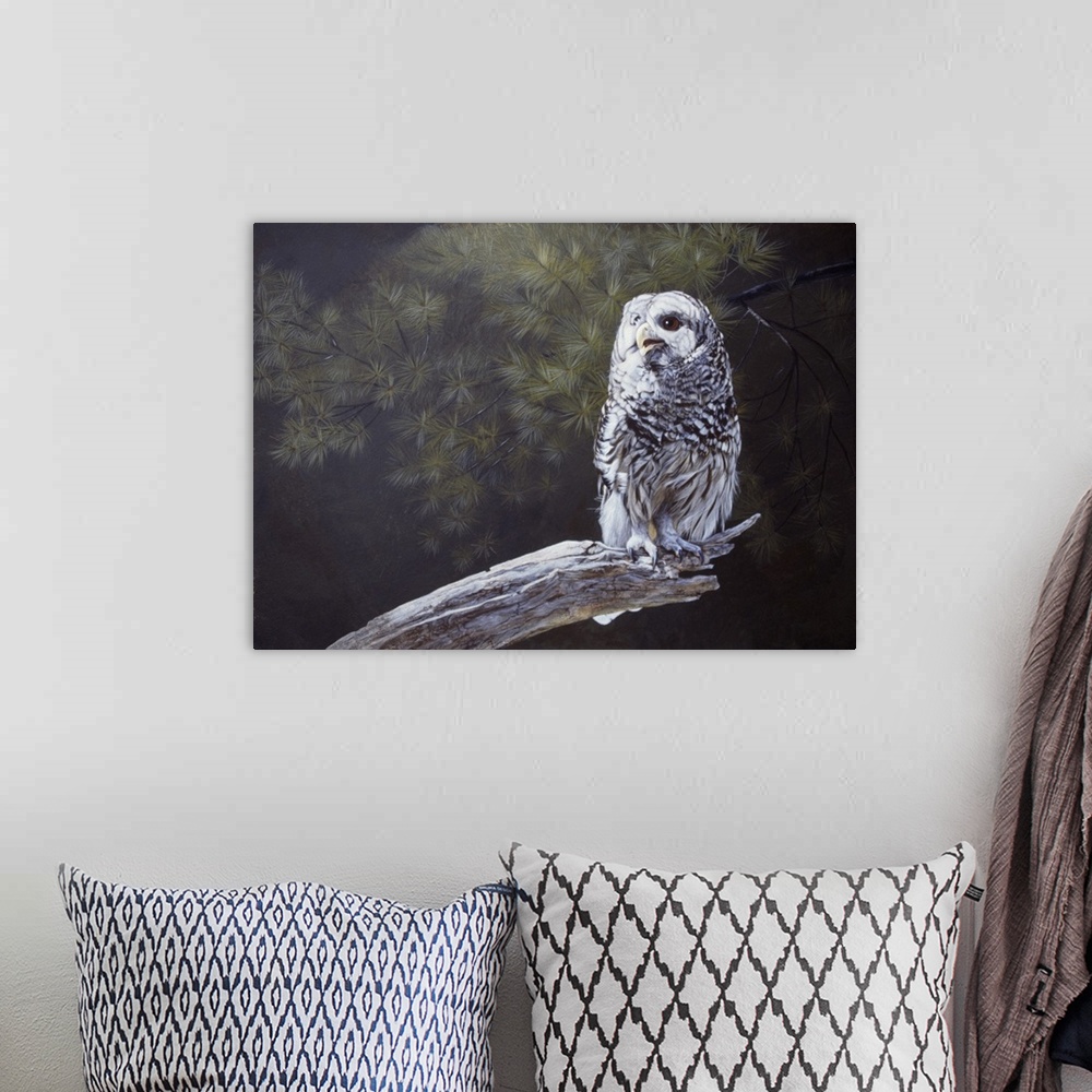 A bohemian room featuring An owl perched on a branch.