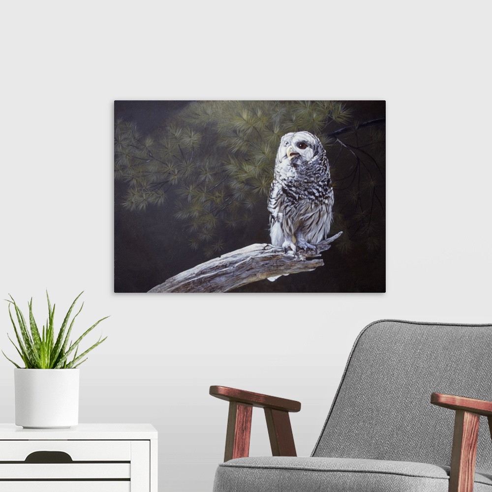 A modern room featuring An owl perched on a branch.