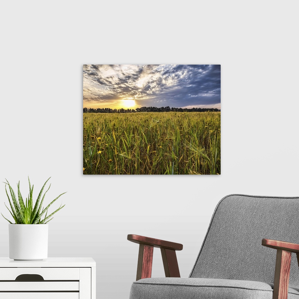 A modern room featuring Sunset, Farm Scene, Field