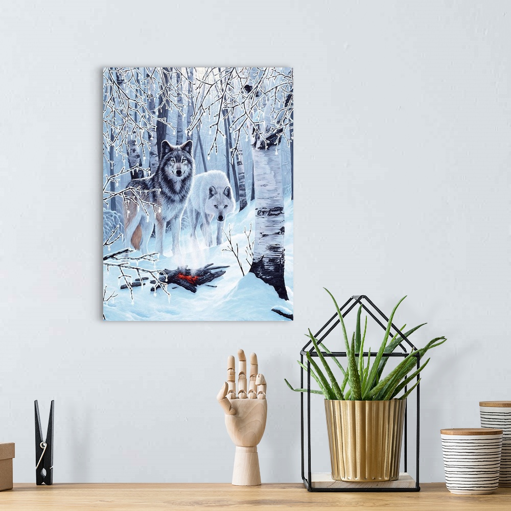 A bohemian room featuring Two wolves stand under a group of birch trees, next to a  campfire, on a snow covered ground.
