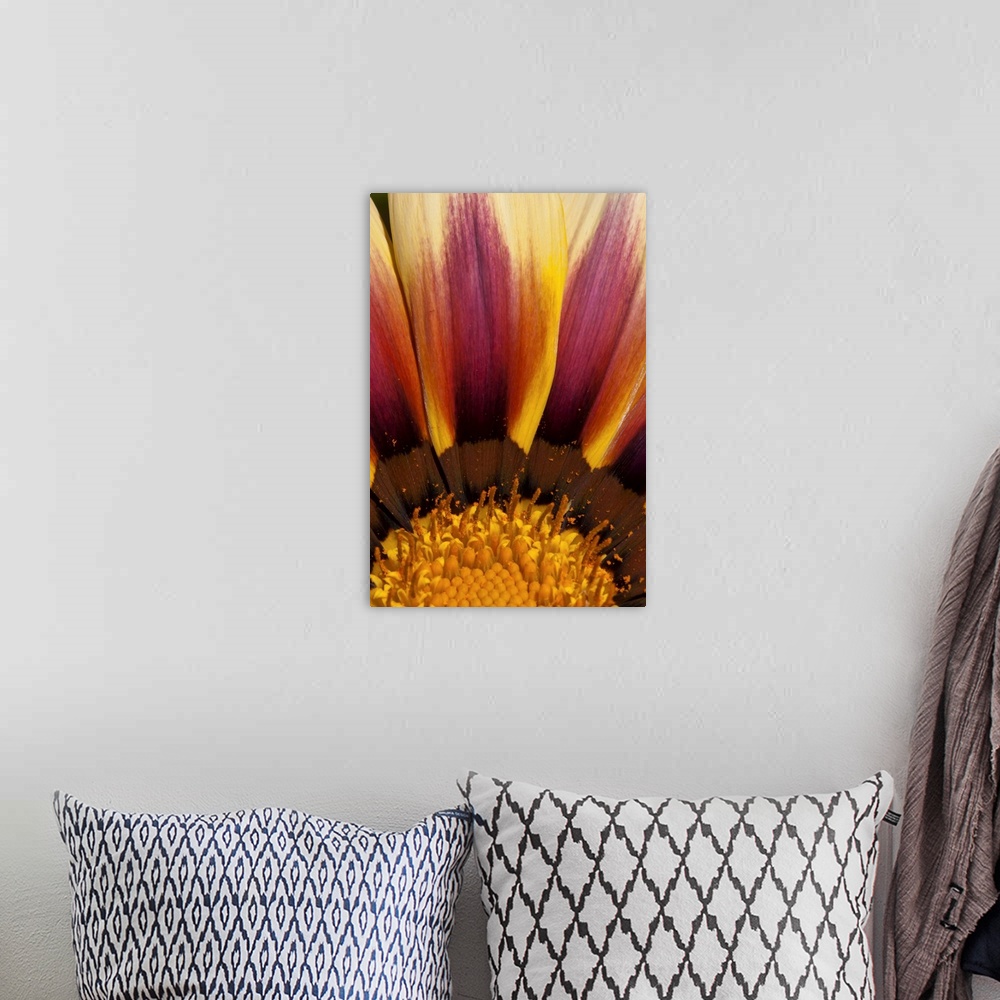 A bohemian room featuring Macro photograph of a bright yellow and purple flower.
