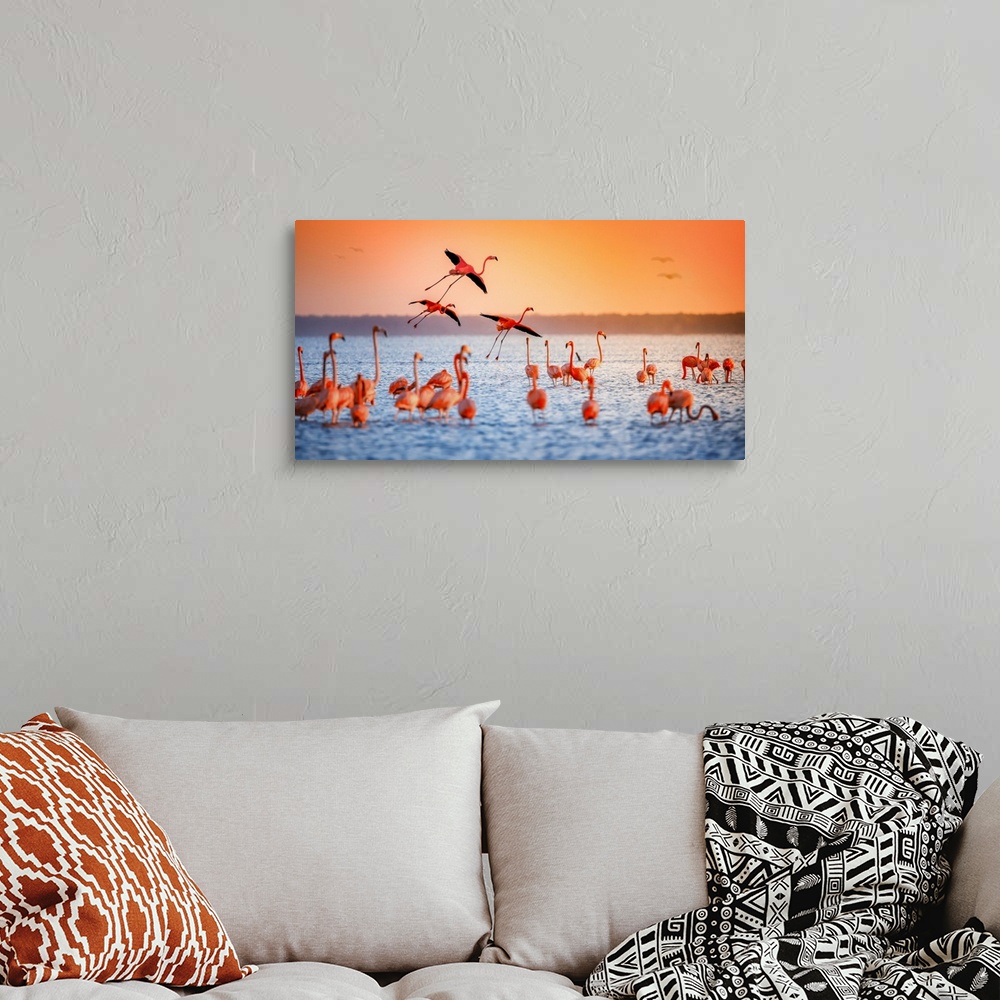A bohemian room featuring Flamingo Flight