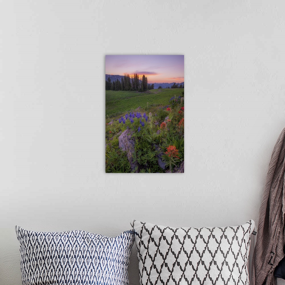A bohemian room featuring A photograph of a wildflower meadow under a sunset sky.